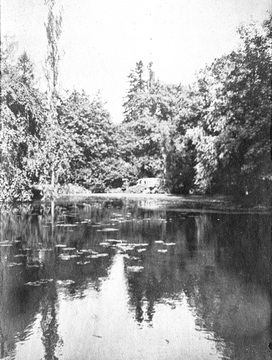 Der große Teich im Schlosspark.