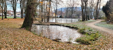 Blick über den kleinen Teich zum großen Teich hin.